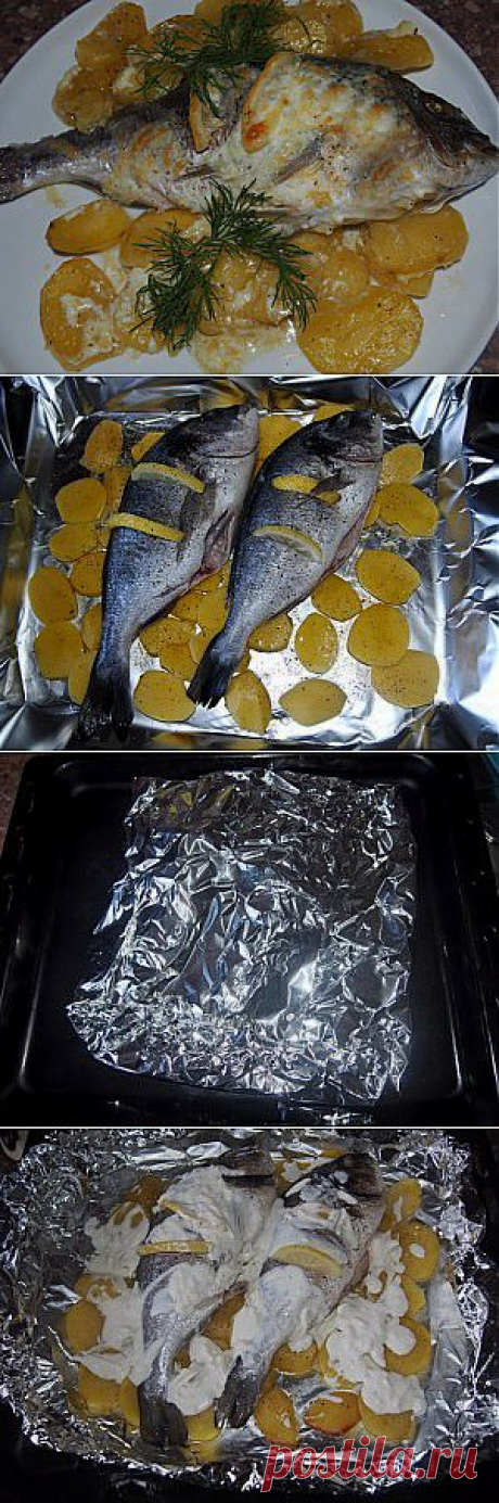 Дорада, запеченная с картофелем в фольге | Хлеб-Соль
Дорада – рыбка сама по себе довольно вкусная, но картофель, запеченный вместе с ней только подчеркивает этот вкус.