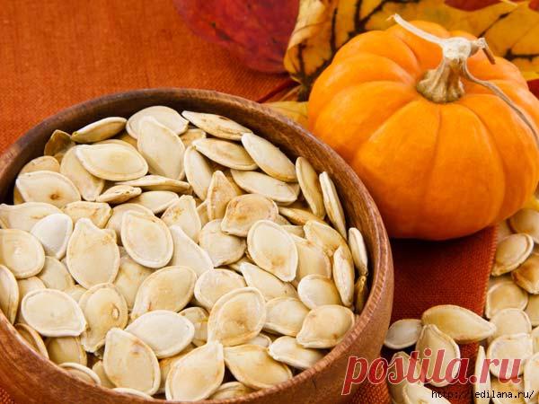 САМЫЕ ПОЛЕЗНЫЕ СЕМЕЧКИ И ЗЕРНА