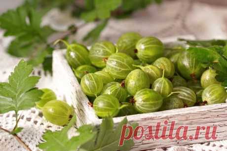 Секретный рецепт царского варенья от дворянки Нарышкиной. Вкуснее и слаще этого еще не ела!