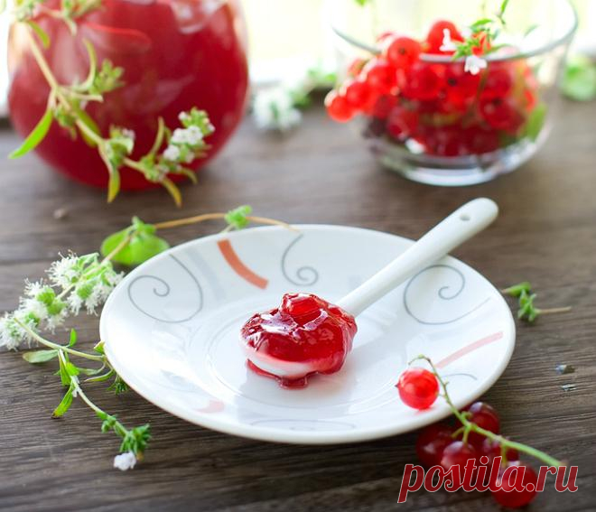 Что приготовить на зиму из смородины – 8 вкуснейших рецептов | Дачная кухня (Огород.ru)