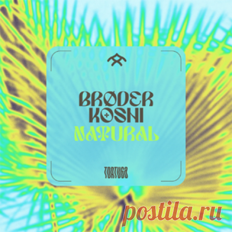 Brøder, Koshi - Natural | 4DJsonline.com
