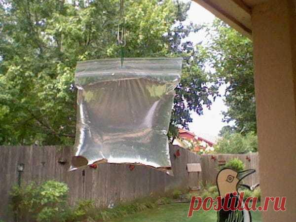 Гениальное устройство от надоедливых мух Это самый дешевый метод избавления от надоедливых насекомых, о котором я знаю! Всё, что нужно — 4 монеты и прочный пакет с застежкой. Обычно я использую такие пакеты для заморозки овощей и фруктов.
Ни один комар, ни одна муха теперь не станет тебе досаждать! Изобретатели этой гениальной ловушки утв