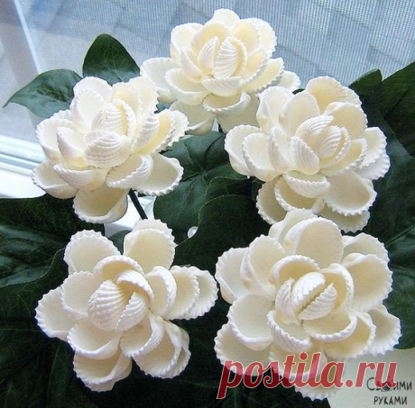 Поделки из ракушек — Сделай сам, идеи для творчества - DIY Ideas