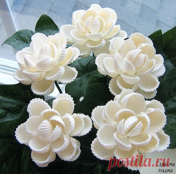 Поделки из ракушек — Сделай сам, идеи для творчества - DIY Ideas