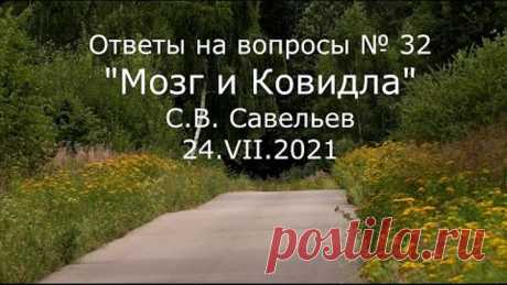 С.В. Савельев - Мозг и Ковидла