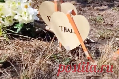 Пять девушек отправились отметить день рождения в домик у озера и не выжили
