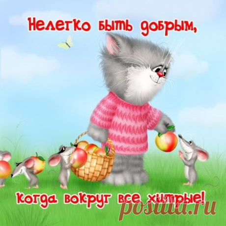 Pinterest