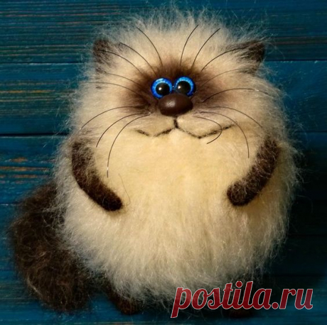 м