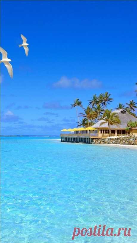 sıtkı All Nature — Fiji