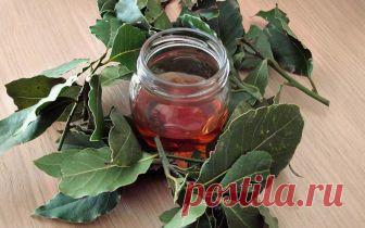 Благодаря этому растению вы избавитесь от варикозного расширения вен, болей в суставах, потери памяти и головных болей!