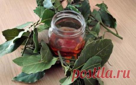 Благодаря этому растению вы избавитесь от варикозного расширения вен, болей в суставах, потери памяти и головных болей!