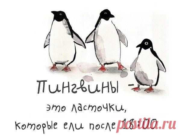 Что можно есть после 6 вечера?