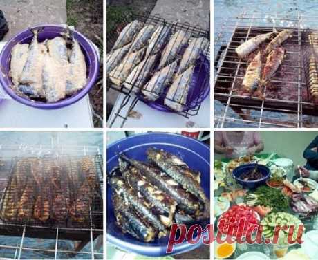 СКУМБРИЯ НА МАНГАЛЕ.🐟 | OK.RU
