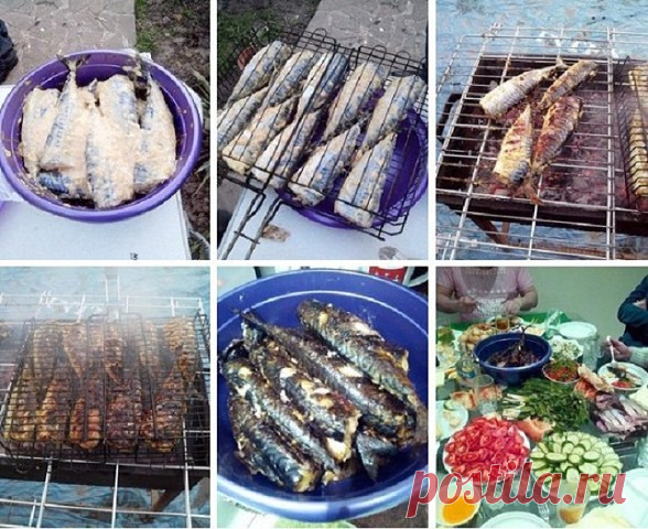 СКУМБРИЯ НА МАНГАЛЕ.🐟 | OK.RU