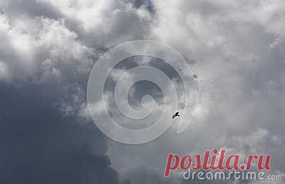 Stock Photos, Royalty-Free Images & Video Footage By Dreamstime Stock Photography