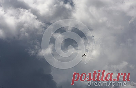 Stock Photos, Royalty-Free Images & Video Footage By Dreamstime Stock Photography