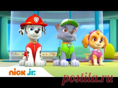 Щенячий патруль | 1 сезон 26 серия | Nick Jr. Россия
