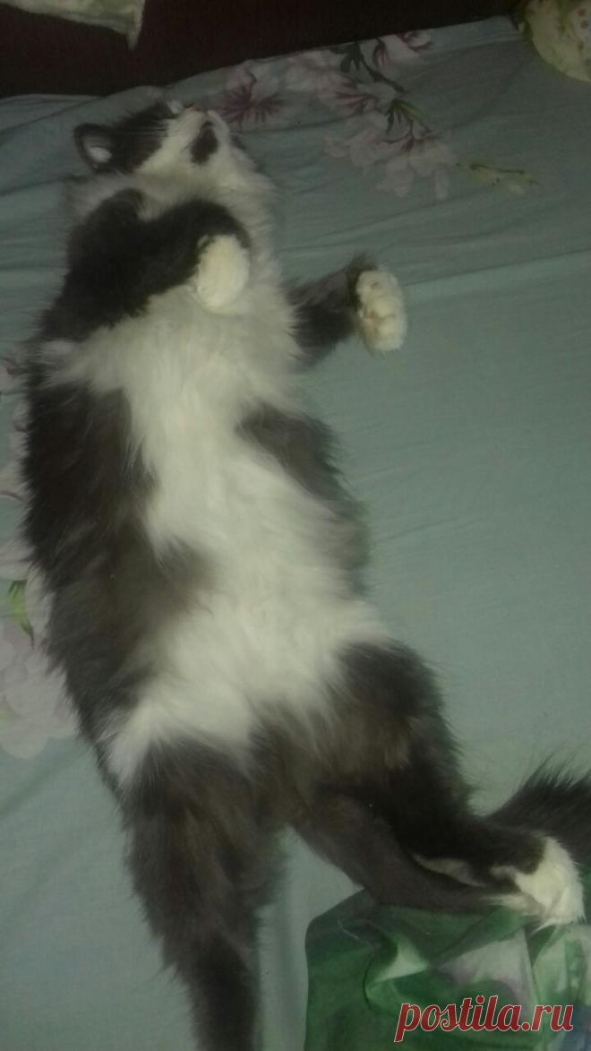 Умаялась за день...