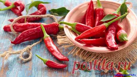 Продукты, ускоряющие обмен веществ, которые должны быть на Вашей кухне | Все о Фитнесе и Здоровье -www.ingoodfit.ru Продукты, ускоряющие обмен веществ это те продукты, которые должны быть на вашей кухне, если вы хотите похудеть или поддерживать свой вес.