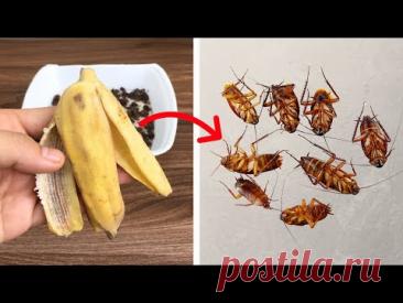 ⚠️ ТАРАКАНЫ ИСЧЕЗНУТ навсегда! Средство, которое работает лучше любой химии!