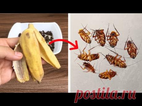 ⚠️ ТАРАКАНЫ ИСЧЕЗНУТ навсегда! Средство, которое работает лучше любой химии!