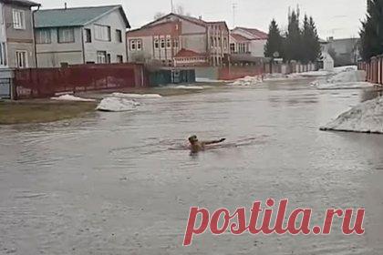 Глава российского села ради одной цели проплыл по затопленной улице. Глава села Солнечное в Алтайском крае Алексей Дуров проплыл по затопленной улице ради одной цели. Россиянин решил таким образом указать на бездействие региональных властей. Его поступок попал на видео, соответствующие кадры разместил Telegram-канал Mash Siberia в четверг, 4 апреля.