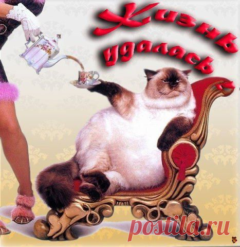 Интересные новости