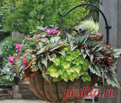 How to Create Sensational Pots and Planters, Container Gardening, Container…