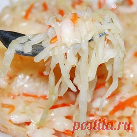 Капуста квашеная в рассоле в банке на зиму: рецепт с фото Как приготовить капусту квашеную в рассоле в банке на зиму: поиск по ингредиентам, советы, отзывы, пошаговые фото, подсчет калорий, изменение порций, похожие рецепты