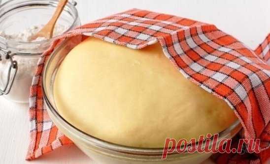 Тесто для любой выпечки
