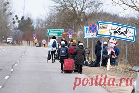 Украинец в латексной маске пытался сбежать из страны. Житель Одессы, Украина, попытался сбежать из страны и пробраться на территорию Молдавии. Мужчина планировал переплыть реку Турунчук, а затем Днестр, для чего оделся в гидрокостюм. Помимо этого, он надел латексную маску, предположительно для того, чтобы его не опознали по видеокамерам.