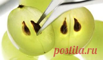 Зри в косточку: народные рецепты от недугов