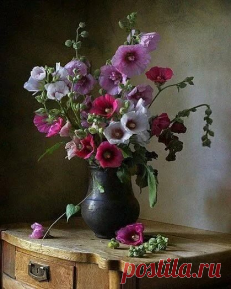 в Яндекс.Коллекциях