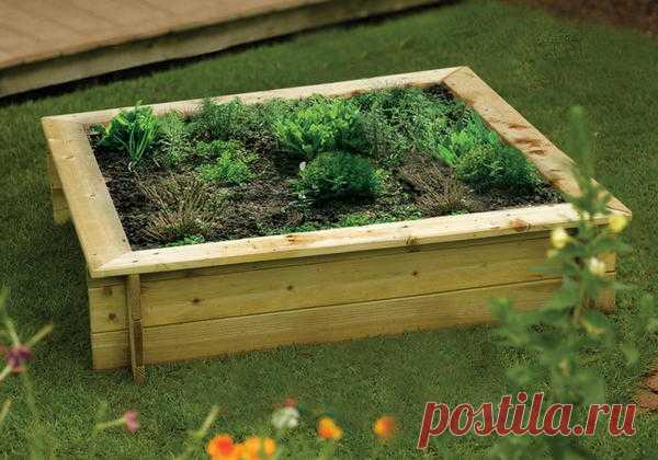 Коллекция идей для контейнеров, вазонов и горшков / 7dach.ru