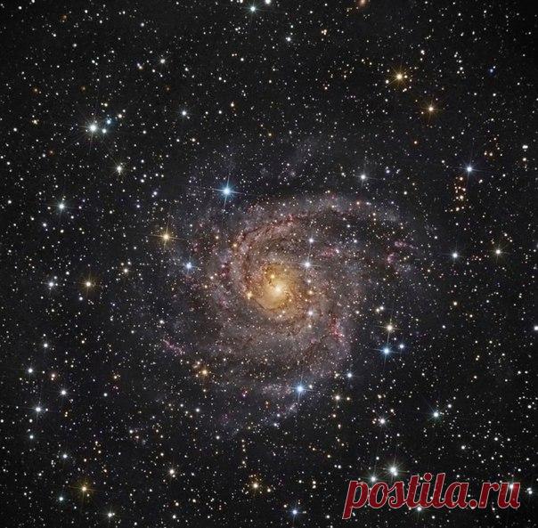 Скрытая галактика IC 342 / Astro Analytics