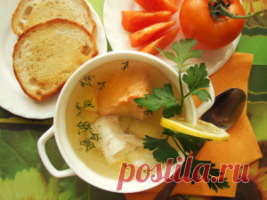 Уха рыбацкая