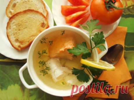 Уха рыбацкая