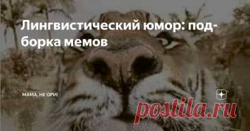 Лингвистический юмор: подборка мемов Статья автора «Мама, не ори!» в Дзене ✍: Прежде чем мы перейдем к мемам, послушайте фразы-синонимы: «Как была дурой, так и осталась» — «Время над нею не властно», «Идиот!
