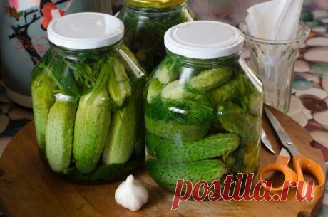 Как удачно засолить крупные огурцы
Для целей консервации традиционно используют огурцы небольшого размера. При наличии урожая крупных...
Читай пост далее на сайте. Жми ⏫ссылку выше