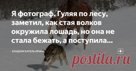 Я фотограф. Гуляя по лесу, заметил, как стая волков окружила лошадь, но она не стала бежать, а поступила умнее. Снял на камеру😲 Иногда жизнь подбрасывает такие сюжеты, что не одному сценаристу в голову не придет.
Представьте, что кто-то попросил вас представить, что в лесной глуши стая волков окружает одинокую лошадь. Какой финал истории вы нарисовали бы? Наверняка, ничего хорошего для лошади, правда?
Итальянский фотограф любил снимать природу. Часто здесь ему удавалось п...