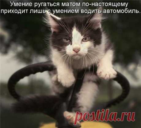 Изучение ругательств народов – хороший путь к постижению их святынь. (Григорий Ландау)