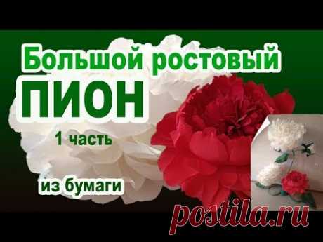 ВИДЕОУРОК 1часть БОЛЬШОЙ РОСТОВЫЙ ПИОН.ARTdeko.