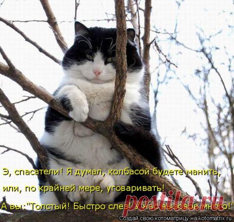 ЗРЯ ЗАЛЕЗАЛ НА ДЕРЕВО.....