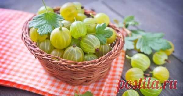 Что приготовить из крыжовника на зиму – 9 невероятно вкусных закаток Крыжовник – очень необычная ягода, примечательная не только своим внешним сходством с арбузом, но и особым вкусом. Как сохранить этот вкус и лакомиться ягодами в холодные зимние вечера? Прочтите статью и узнайте.