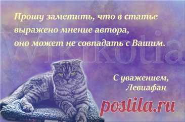 Обзор сухих кормов для кошек Purina Pro Plan Acti Protect. Молозиво в составе - маркетинг или реальная польза? | WikiКотия | Дзен
