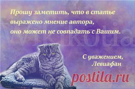 Обзор сухих кормов для кошек Purina Pro Plan Acti Protect. Молозиво в составе - маркетинг или реальная польза? | WikiКотия | Дзен