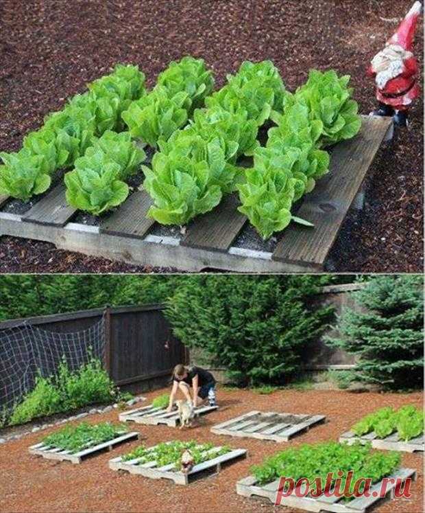 Amazing Uses For Old Pallets - 40 Pics