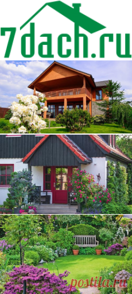 Клуб любителей дачи 7dach.ru