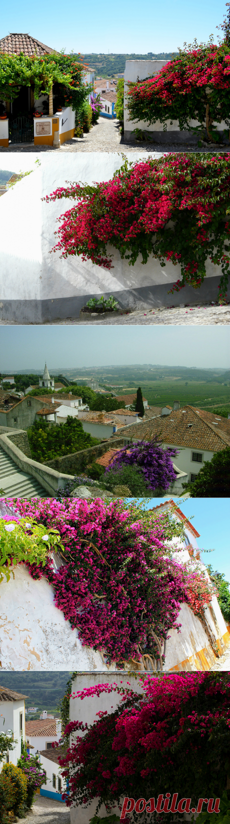 Обидуш(Obidos),Португалия.