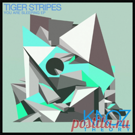 Tiger Stripes - You Are Sleeping EP | 4DJsonline.com